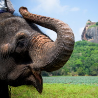 Sri Lanka