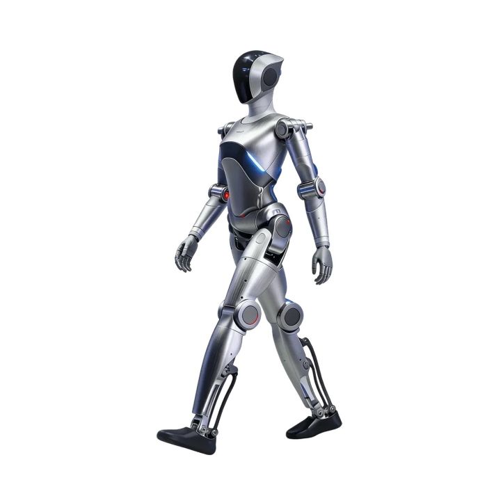 LimX Luna Humanoid Robot