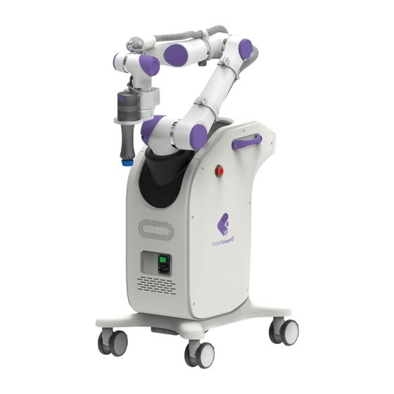 Deyee Polyenergy-King AI Physiotherapy Robot (DY-H3)